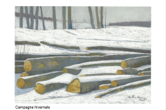 Campagne hivernale
