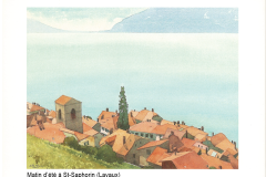 Matin d' étè à St-Saphorin (Lavaux)