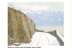 Neige au chemin des Echelettes (Aran-Vilette)