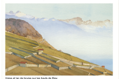 Vigne et lac de brume sur les hauts de Riex