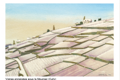 Vignes enneigees sous la Mouniaz (Cully)