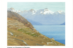 Vignes sur Epesses et Dezaley