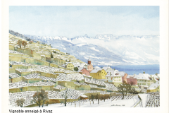 Vignoble enneige à Rivaz